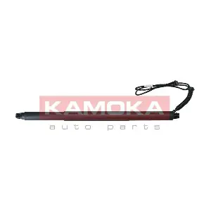 7094029 KAMOKA