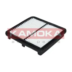KAMOKA F202201