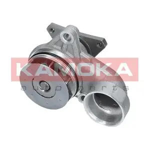 T0157 KAMOKA