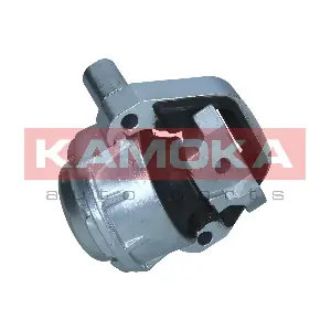 890873 KAMOKA