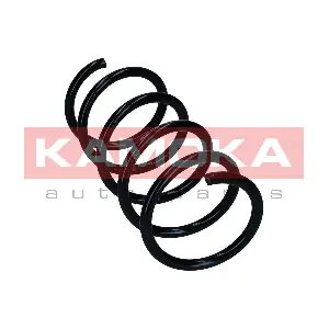 2120410 KAMOKA