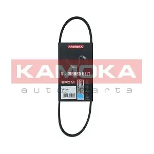 7013003 KAMOKA