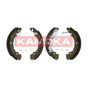 JQ202003 KAMOKA