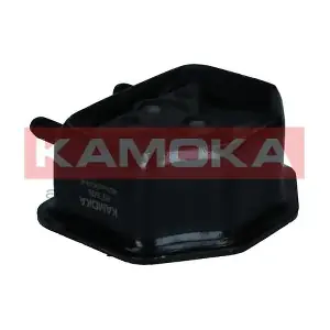 890508 KAMOKA