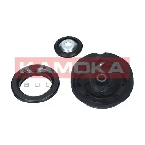 209071 KAMOKA