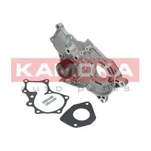 T0264 KAMOKA