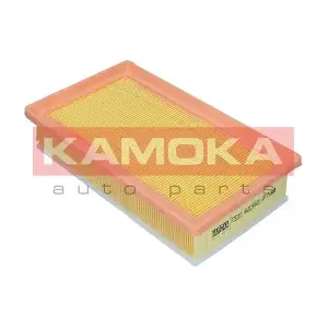 F252101 KAMOKA