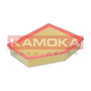 F255601 KAMOKA