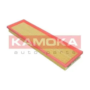 F257901 KAMOKA