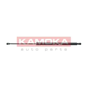 7092257 KAMOKA