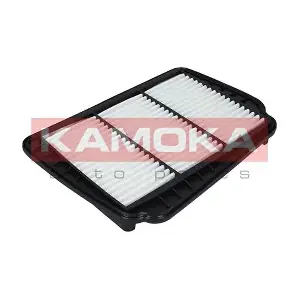 F223001 KAMOKA