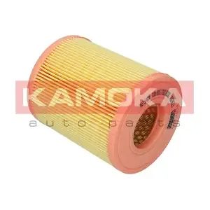 KAMOKA F236501