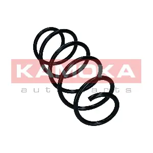 2110822 KAMOKA