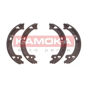 JQ212053 KAMOKA