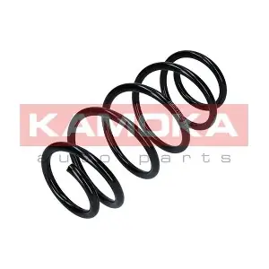 2110193 KAMOKA