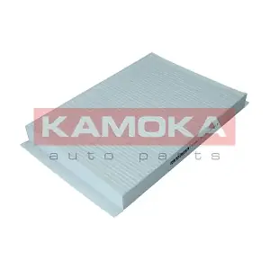 KAMOKA F419801