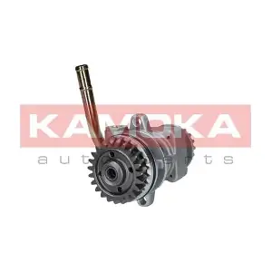 PP198 KAMOKA