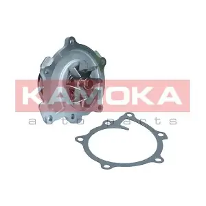 T0294 KAMOKA