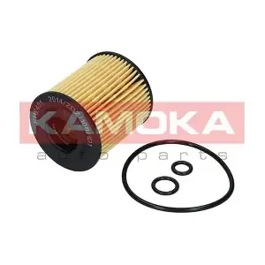 F112401 KAMOKA