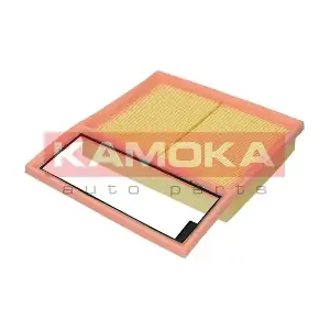 F252901 KAMOKA