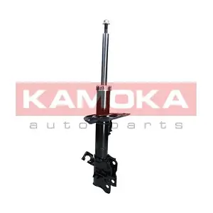 2000509 KAMOKA