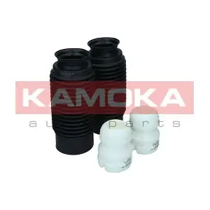 2019161 KAMOKA