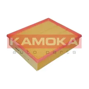 KAMOKA F201301
