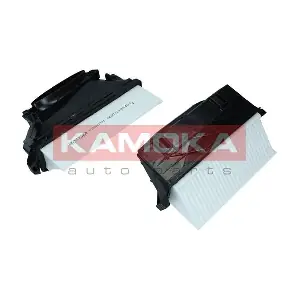 F254201 KAMOKA