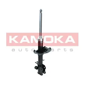 20333169 KAMOKA