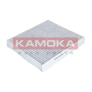 KAMOKA F504701