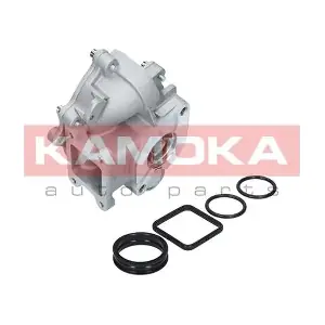 KAMOKA T0049