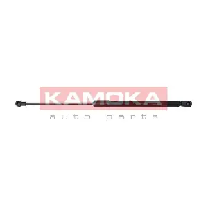 7091120 KAMOKA