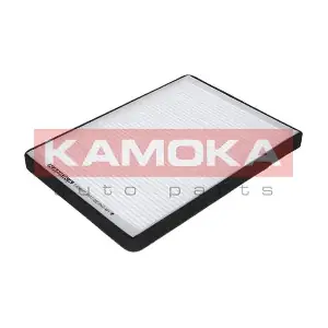KAMOKA F404601