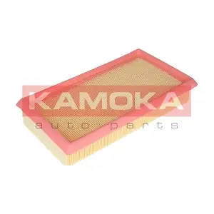 KAMOKA F228901