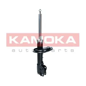 2001116 KAMOKA