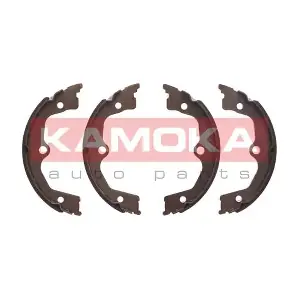 JQ212054 KAMOKA