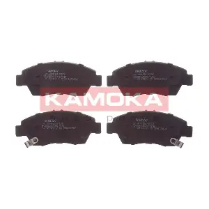 JQ1011552 KAMOKA
