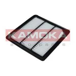 F238101 KAMOKA