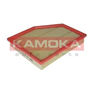 F219501 KAMOKA