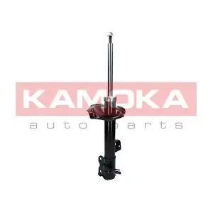 2000308 KAMOKA