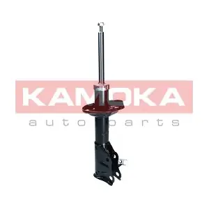 2001118 KAMOKA