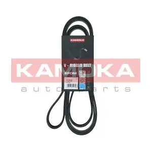 7016236 KAMOKA