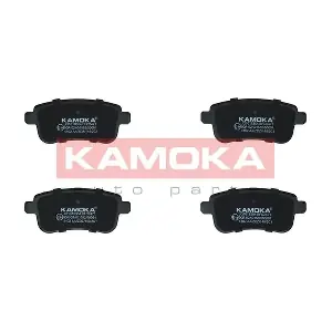 JQ1018364 KAMOKA