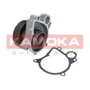 KAMOKA T0061