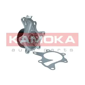 T0302 KAMOKA