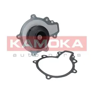 T0068 KAMOKA