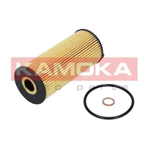 F110901 KAMOKA