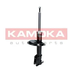 2000248 KAMOKA
