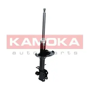2000228 KAMOKA