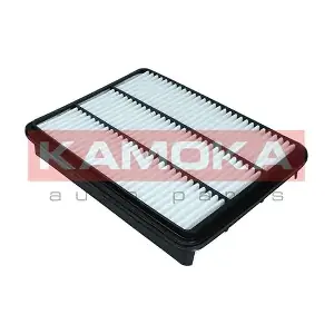 KAMOKA F248701